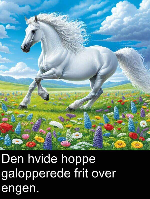 galopperede: Den hvide hoppe galopperede frit over engen.