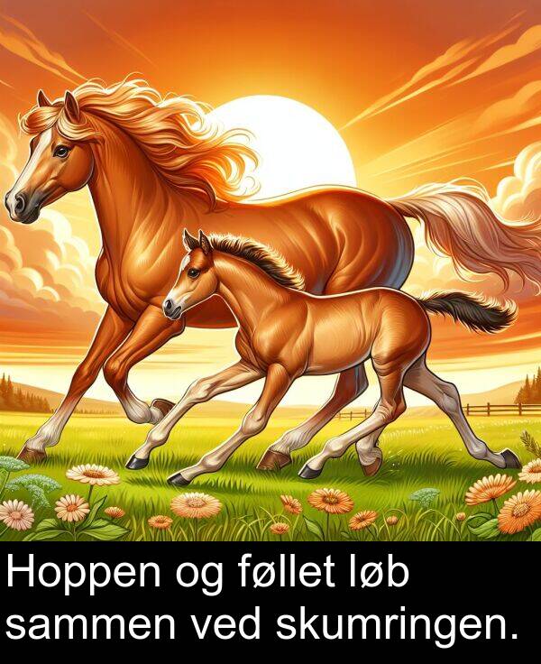 ved: Hoppen og føllet løb sammen ved skumringen.