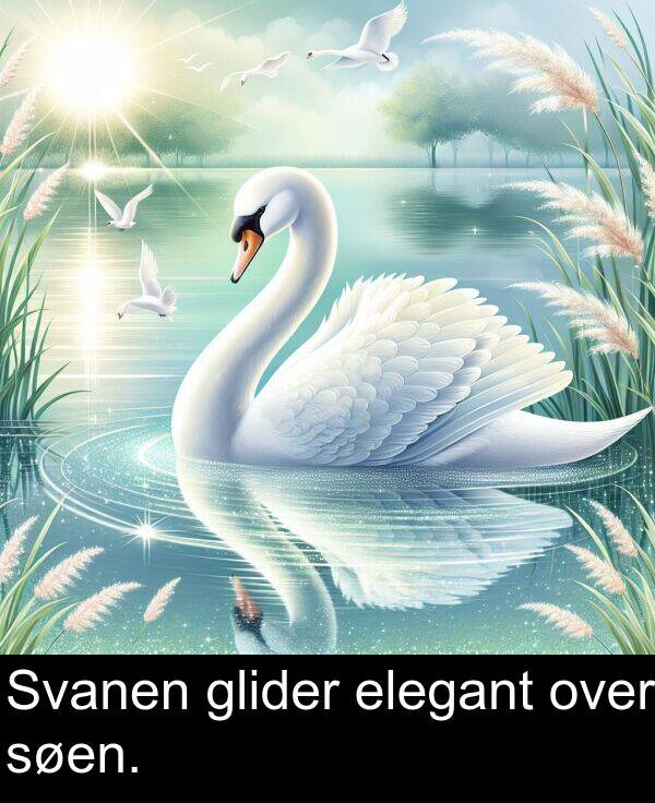 glider: Svanen glider elegant over søen.