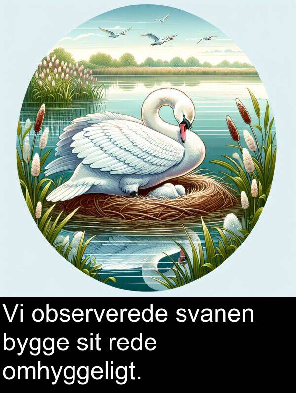 observerede: Vi observerede svanen bygge sit rede omhyggeligt.