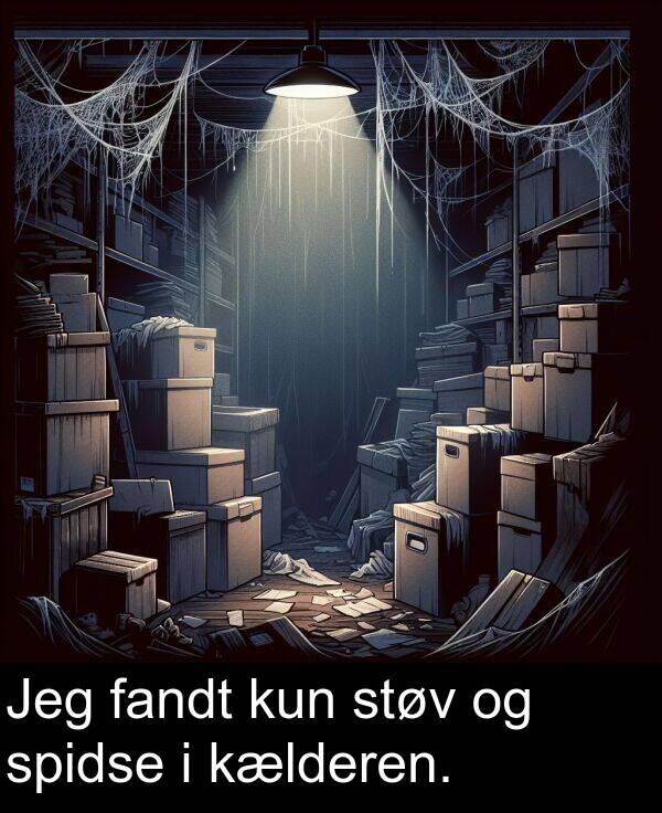 kun: Jeg fandt kun støv og spidse i kælderen.