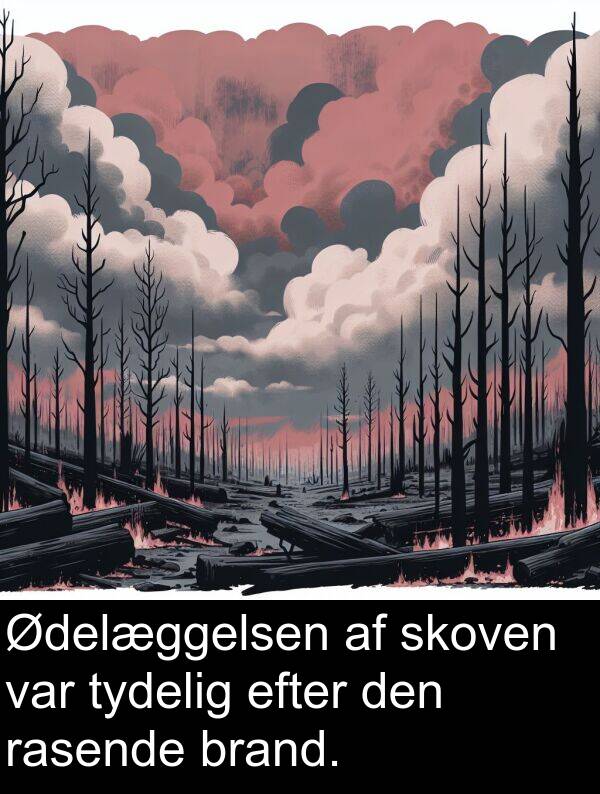 efter: Ødelæggelsen af skoven var tydelig efter den rasende brand.