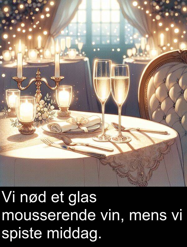 vin: Vi nød et glas mousserende vin, mens vi spiste middag.