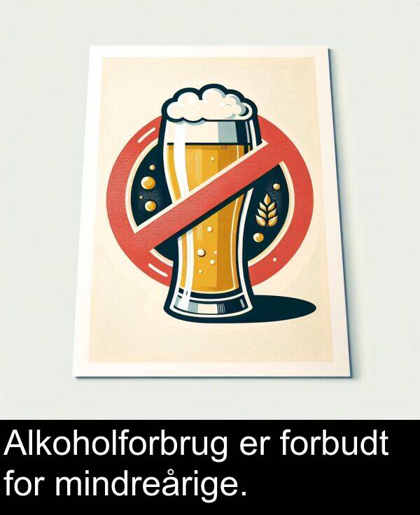 mindreårige: Alkoholforbrug er forbudt for mindreårige.