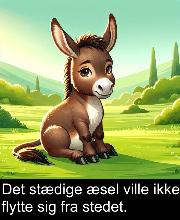 ville: Det stædige æsel ville ikke flytte sig fra stedet.