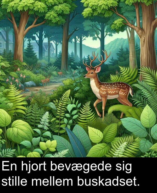 hjort: En hjort bevægede sig stille mellem buskadset.