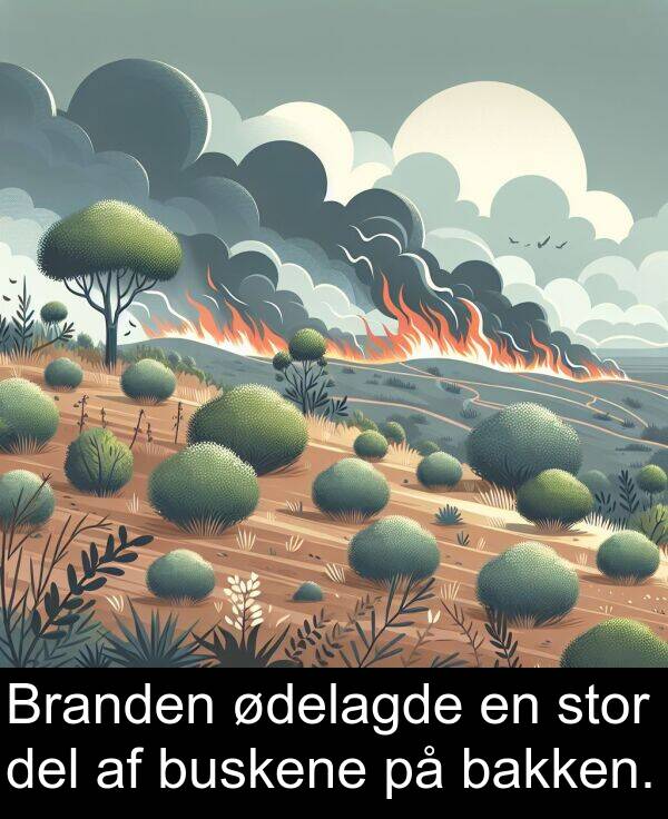 ødelagde: Branden ødelagde en stor del af buskene på bakken.