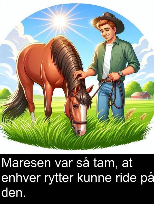 kunne: Maresen var så tam, at enhver rytter kunne ride på den.
