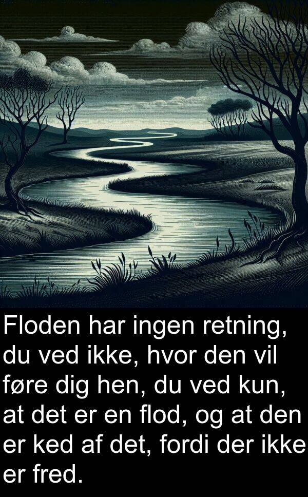 ked: Floden har ingen retning, du ved ikke, hvor den vil føre dig hen, du ved kun, at det er en flod, og at den er ked af det, fordi der ikke er fred.