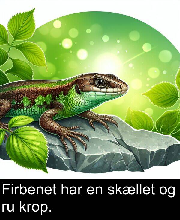 krop: Firbenet har en skællet og ru krop.