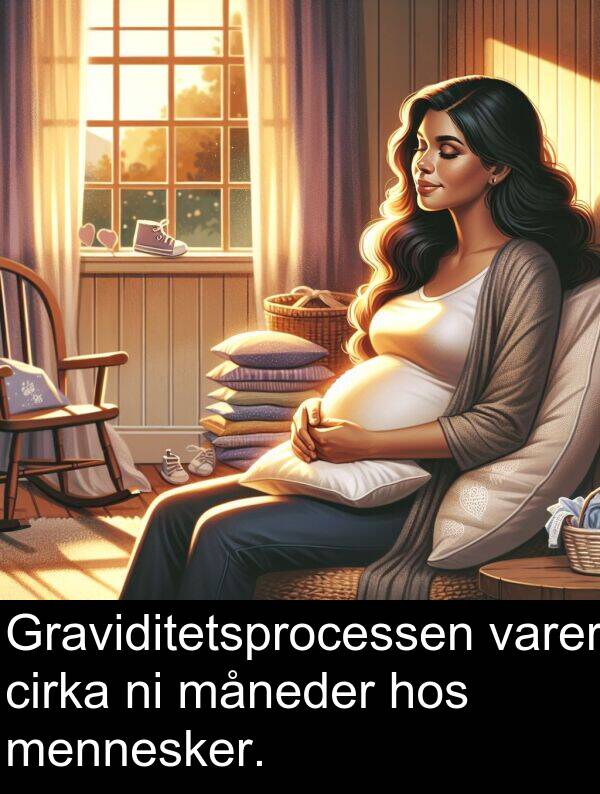 varer: Graviditetsprocessen varer cirka ni måneder hos mennesker.