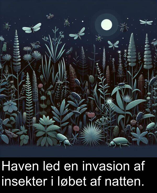 natten: Haven led en invasion af insekter i løbet af natten.