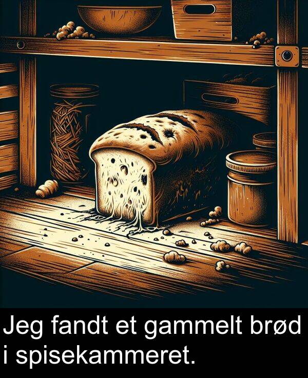 gammelt: Jeg fandt et gammelt brød i spisekammeret.