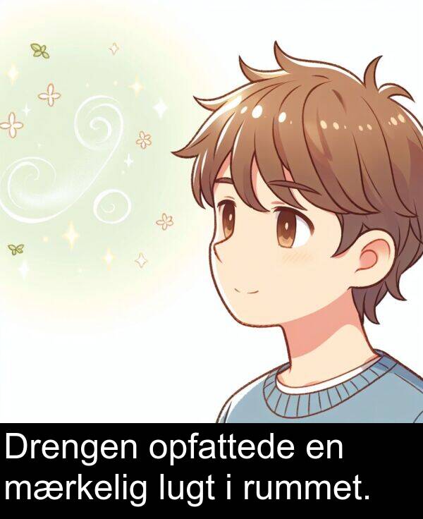 mærkelig: Drengen opfattede en mærkelig lugt i rummet.