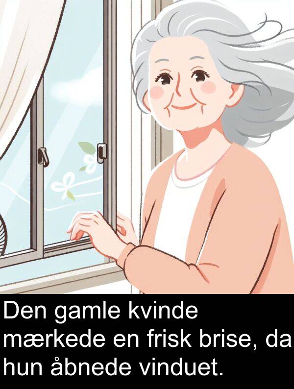 kvinde: Den gamle kvinde mærkede en frisk brise, da hun åbnede vinduet.