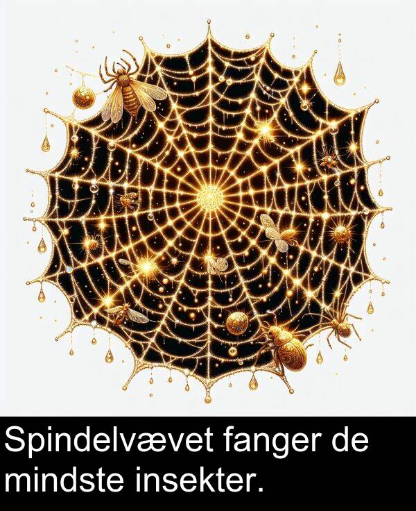 mindste: Spindelvævet fanger de mindste insekter.