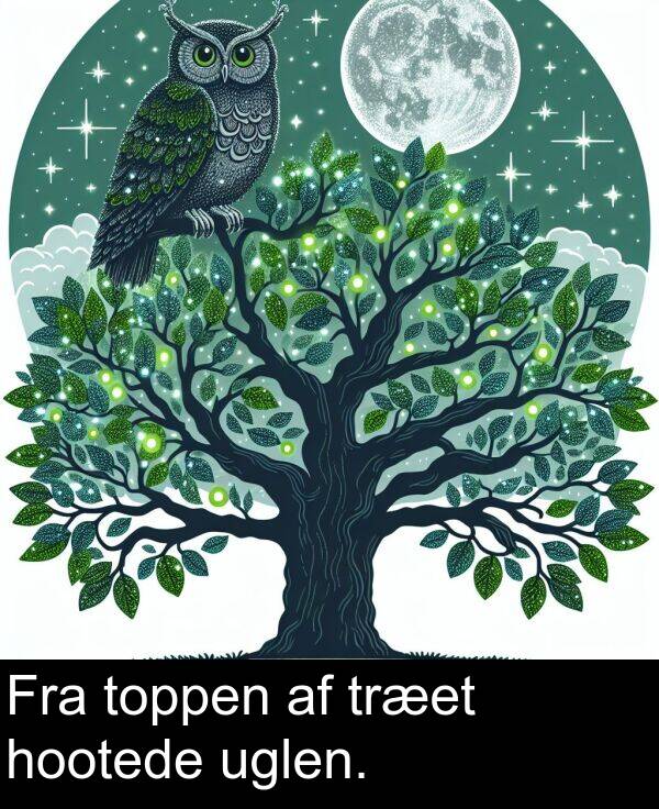 hootede: Fra toppen af træet hootede uglen.