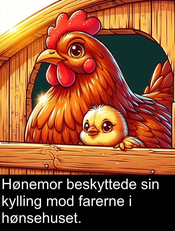 kylling: Hønemor beskyttede sin kylling mod farerne i hønsehuset.