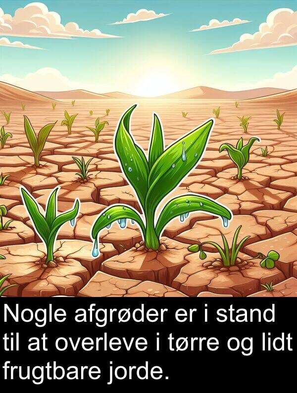 jorde: Nogle afgrøder er i stand til at overleve i tørre og lidt frugtbare jorde.
