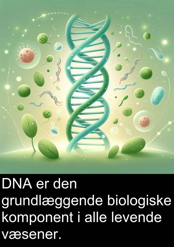 komponent: DNA er den grundlæggende biologiske komponent i alle levende væsener.