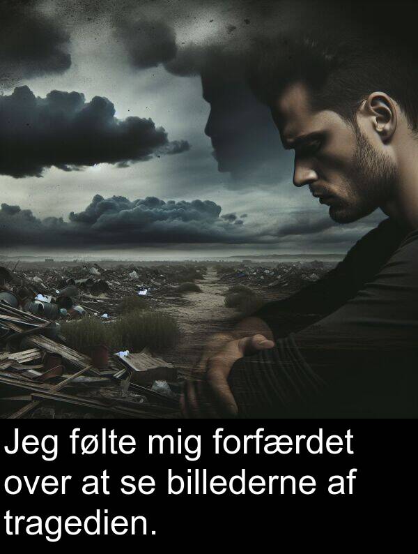 forfærdet: Jeg følte mig forfærdet over at se billederne af tragedien.