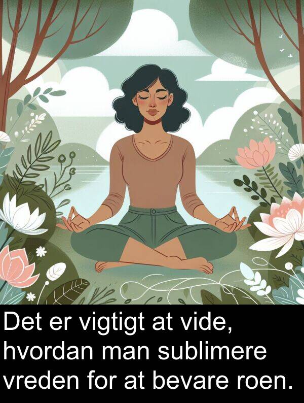 vide: Det er vigtigt at vide, hvordan man sublimere vreden for at bevare roen.