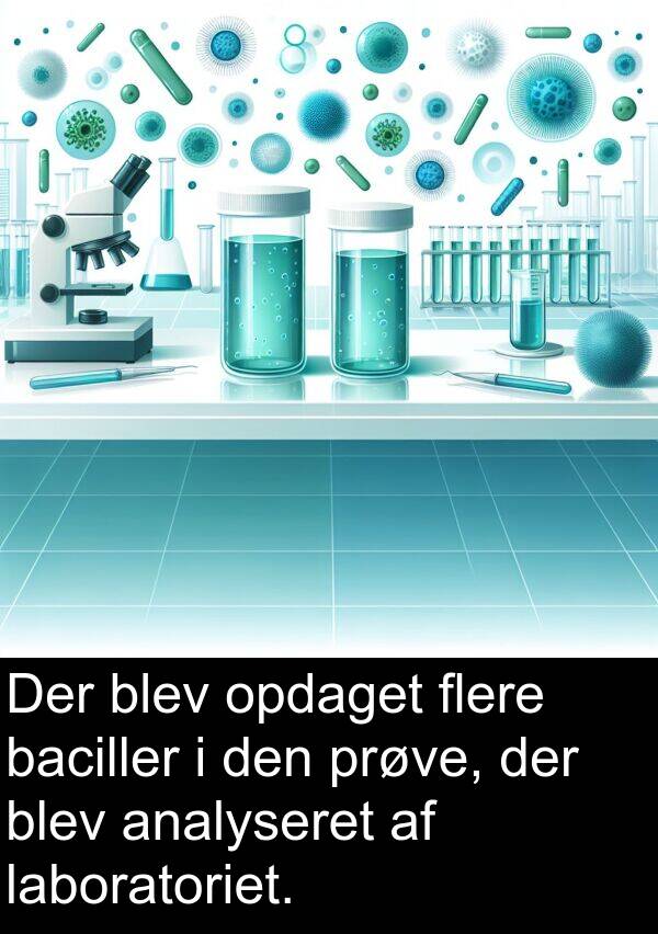 flere: Der blev opdaget flere baciller i den prøve, der blev analyseret af laboratoriet.