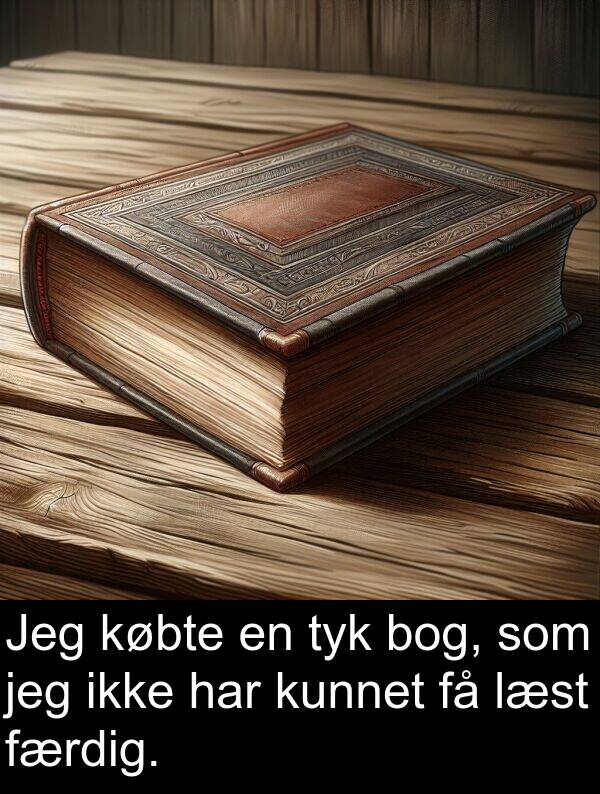 kunnet: Jeg købte en tyk bog, som jeg ikke har kunnet få læst færdig.