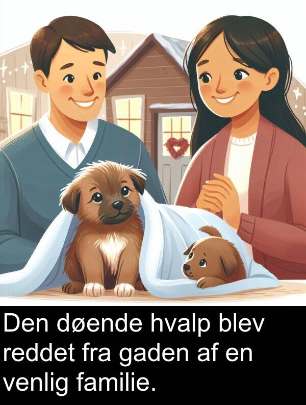 venlig: Den døende hvalp blev reddet fra gaden af en venlig familie.