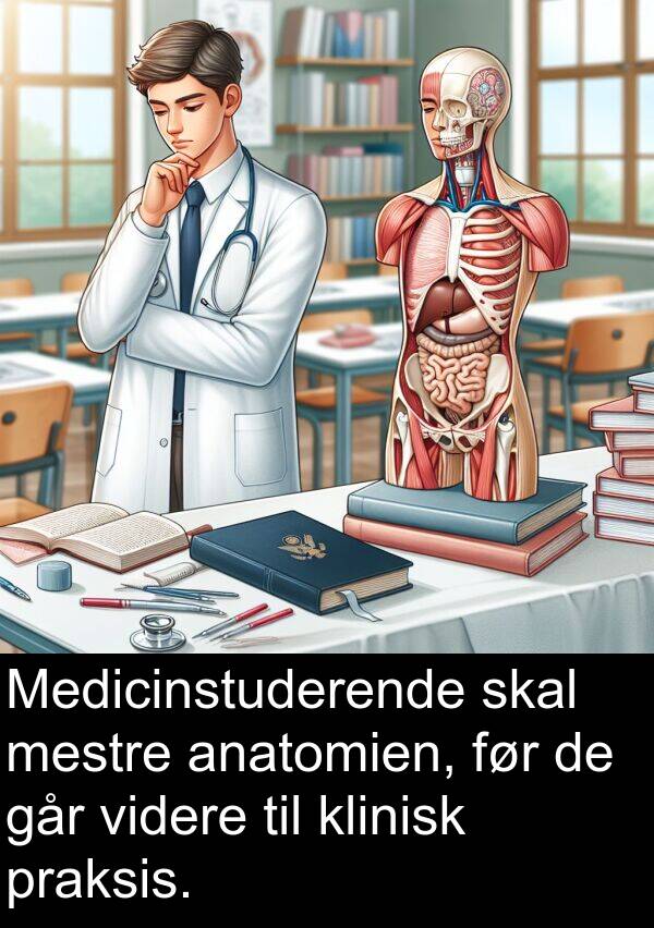 videre: Medicinstuderende skal mestre anatomien, før de går videre til klinisk praksis.