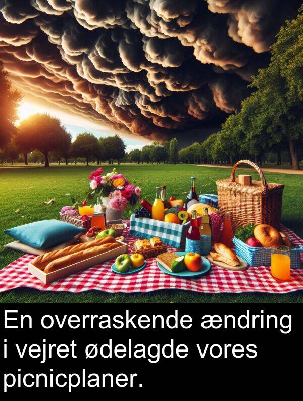 overraskende: En overraskende ændring i vejret ødelagde vores picnicplaner.