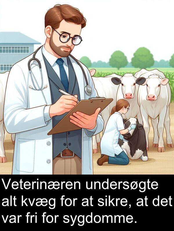 kvæg: Veterinæren undersøgte alt kvæg for at sikre, at det var fri for sygdomme.