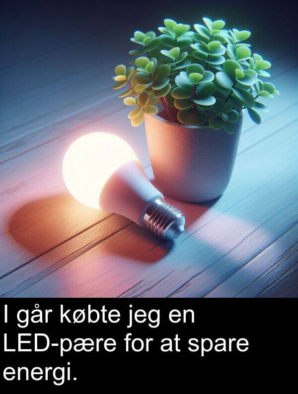 købte: I går købte jeg en LED-pære for at spare energi.