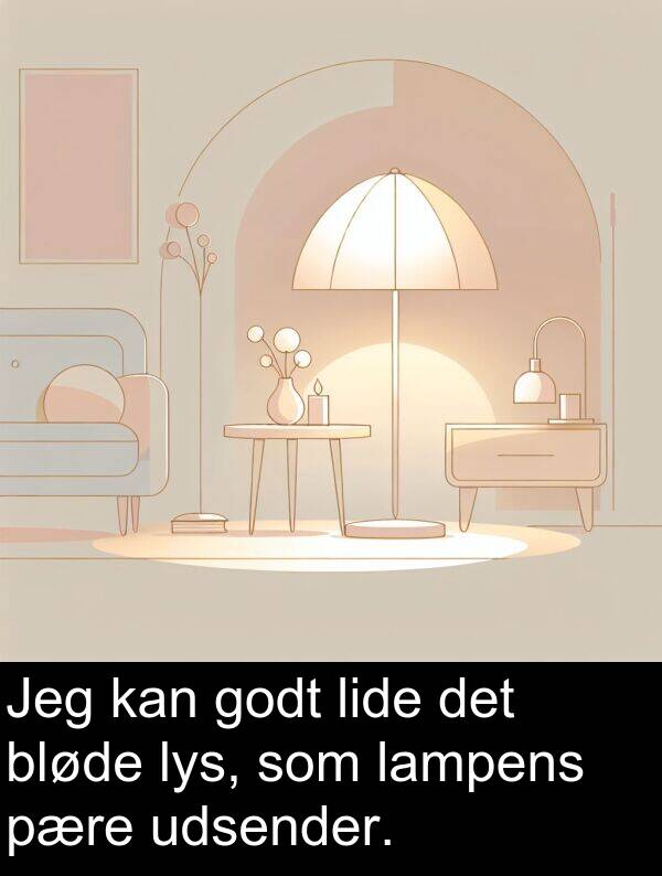 godt: Jeg kan godt lide det bløde lys, som lampens pære udsender.