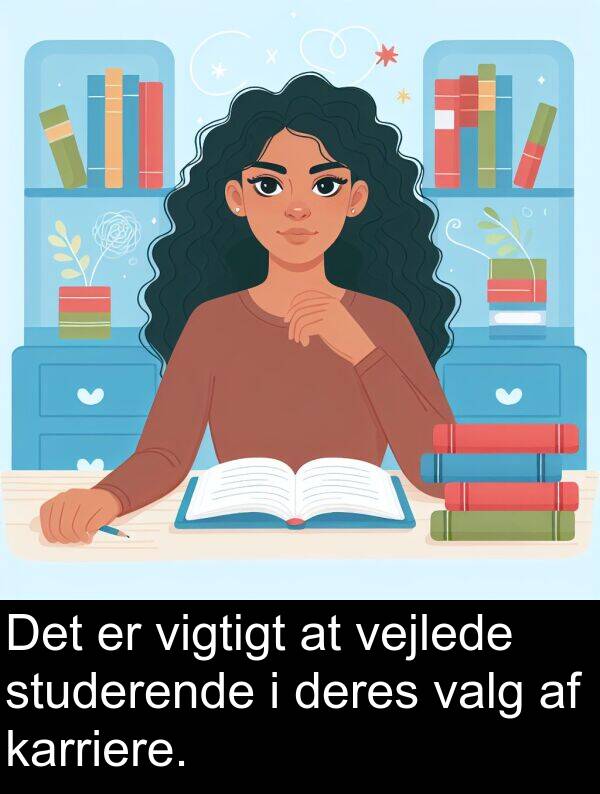 valg: Det er vigtigt at vejlede studerende i deres valg af karriere.