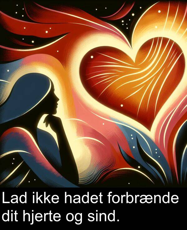hadet: Lad ikke hadet forbrænde dit hjerte og sind.