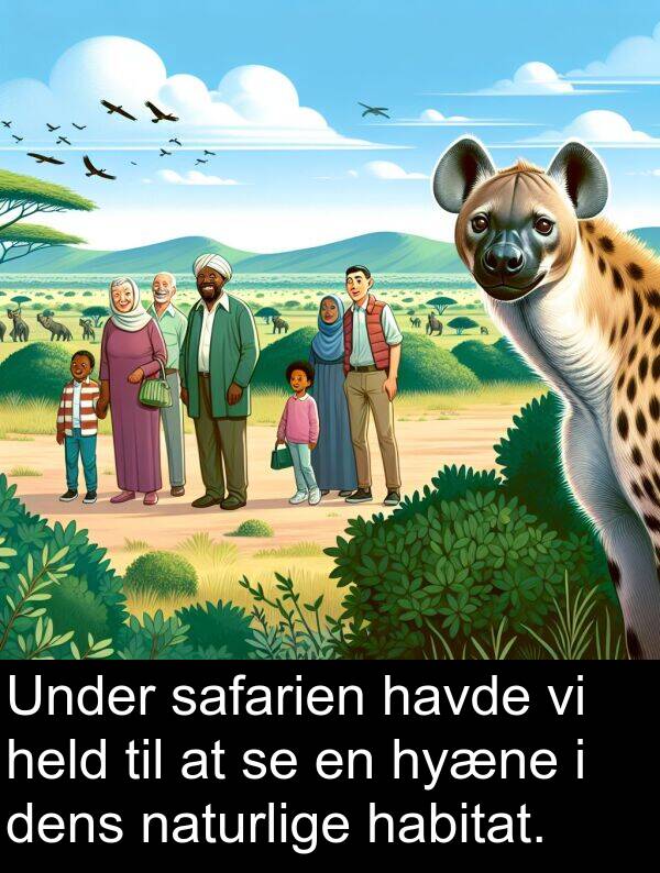 habitat: Under safarien havde vi held til at se en hyæne i dens naturlige habitat.