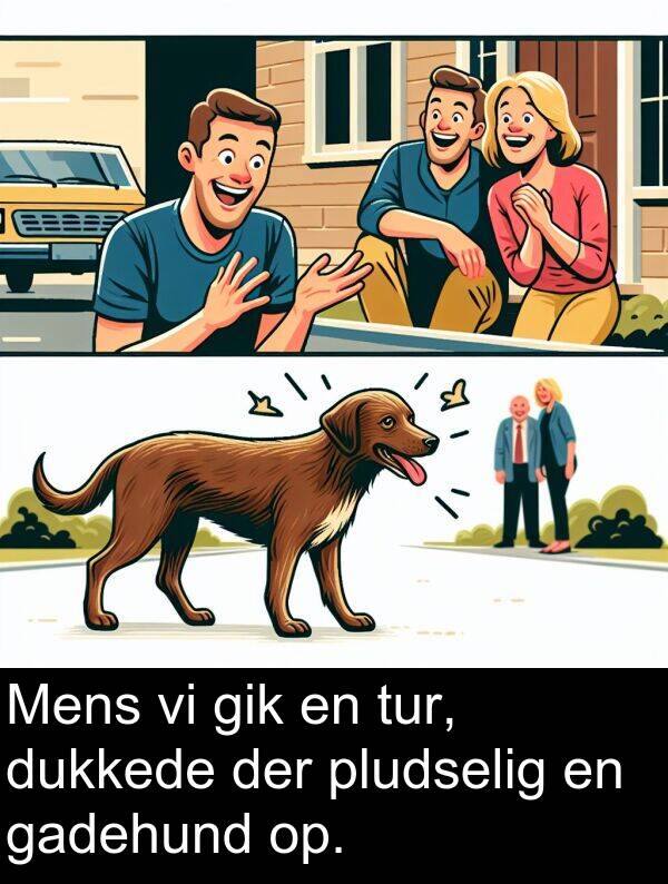 gadehund: Mens vi gik en tur, dukkede der pludselig en gadehund op.