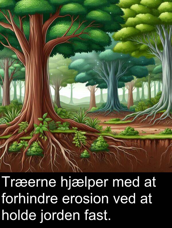 jorden: Træerne hjælper med at forhindre erosion ved at holde jorden fast.