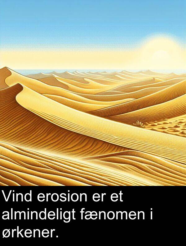 ørkener: Vind erosion er et almindeligt fænomen i ørkener.