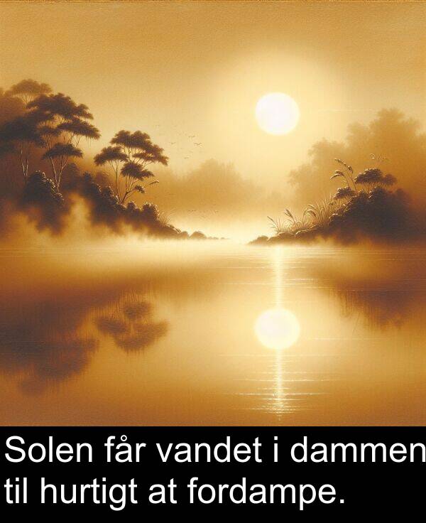 vandet: Solen får vandet i dammen til hurtigt at fordampe.