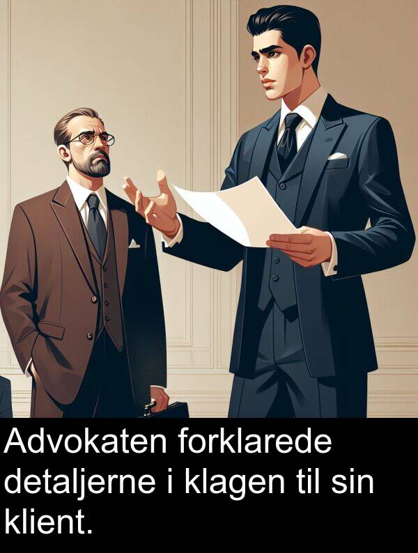 forklarede: Advokaten forklarede detaljerne i klagen til sin klient.