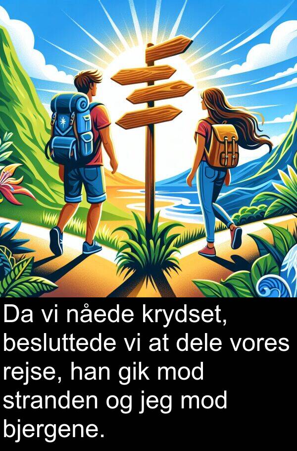 dele: Da vi nåede krydset, besluttede vi at dele vores rejse, han gik mod stranden og jeg mod bjergene.