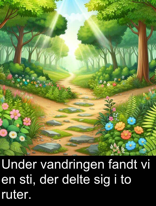 sti: Under vandringen fandt vi en sti, der delte sig i to ruter.