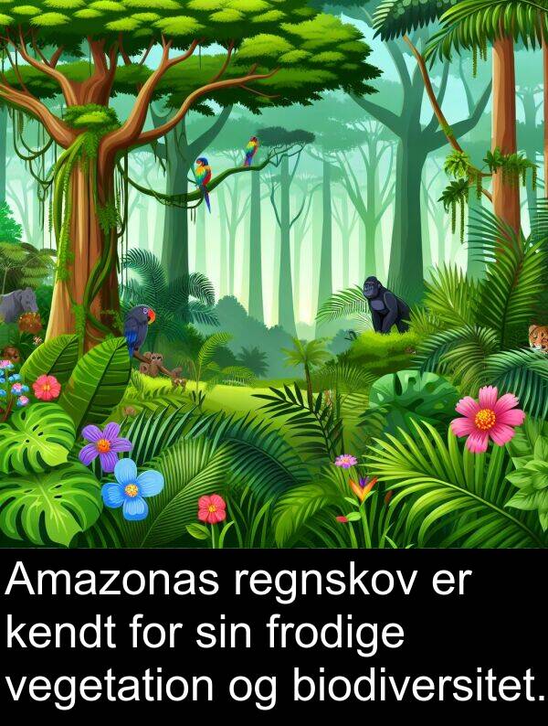 kendt: Amazonas regnskov er kendt for sin frodige vegetation og biodiversitet.