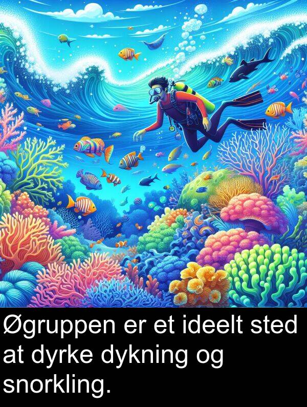 ideelt: Øgruppen er et ideelt sted at dyrke dykning og snorkling.