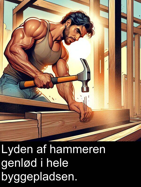 genlød: Lyden af hammeren genlød i hele byggepladsen.