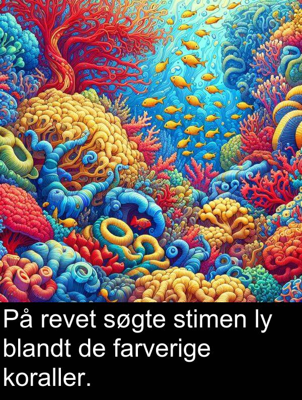 koraller: På revet søgte stimen ly blandt de farverige koraller.