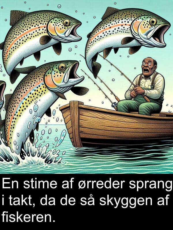 stime: En stime af ørreder sprang i takt, da de så skyggen af fiskeren.