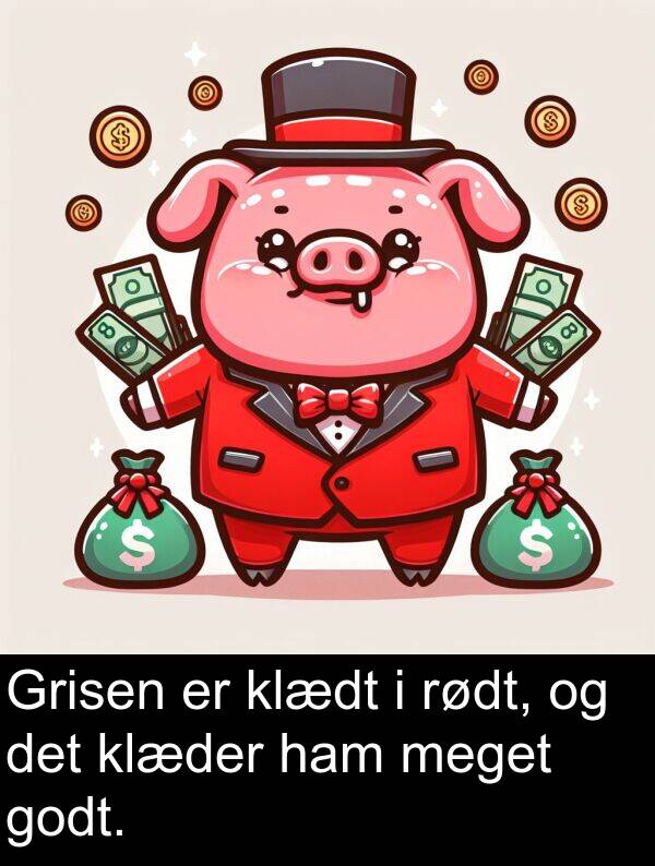 godt: Grisen er klædt i rødt, og det klæder ham meget godt.